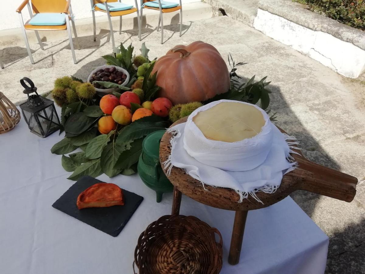 Вилла Quinta Da Tapada Avo Экстерьер фото