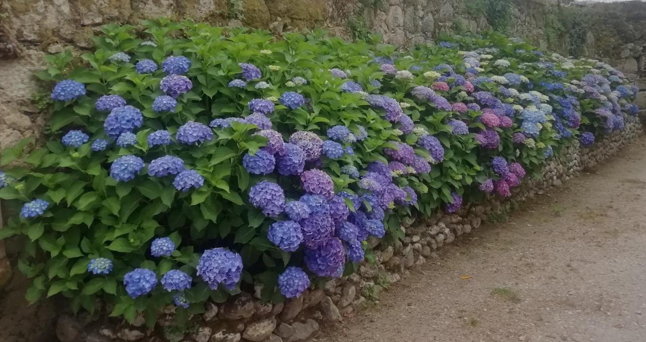 Вилла Quinta Da Tapada Avo Экстерьер фото